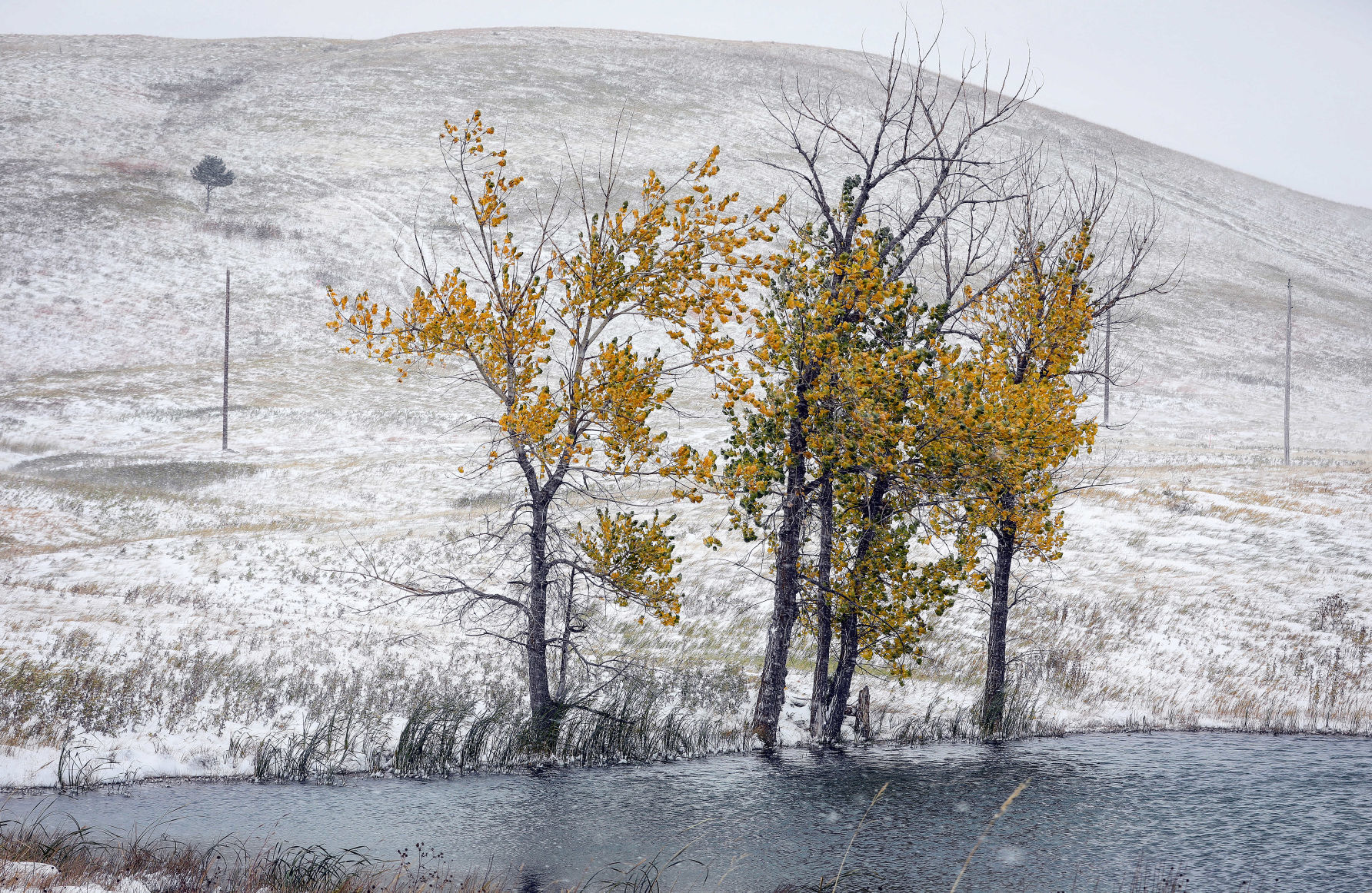 First Snowfall of the Winter